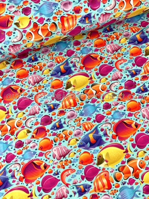 Punto camiseta Peces colorines